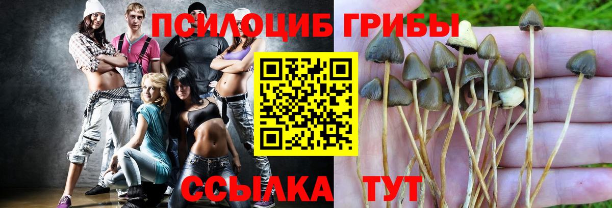 Галлюциногенные грибы MAGIC MUSHROOMS  Галлюциногенные грибы прущие грибы  Жигулёвск  Вход с VPN 